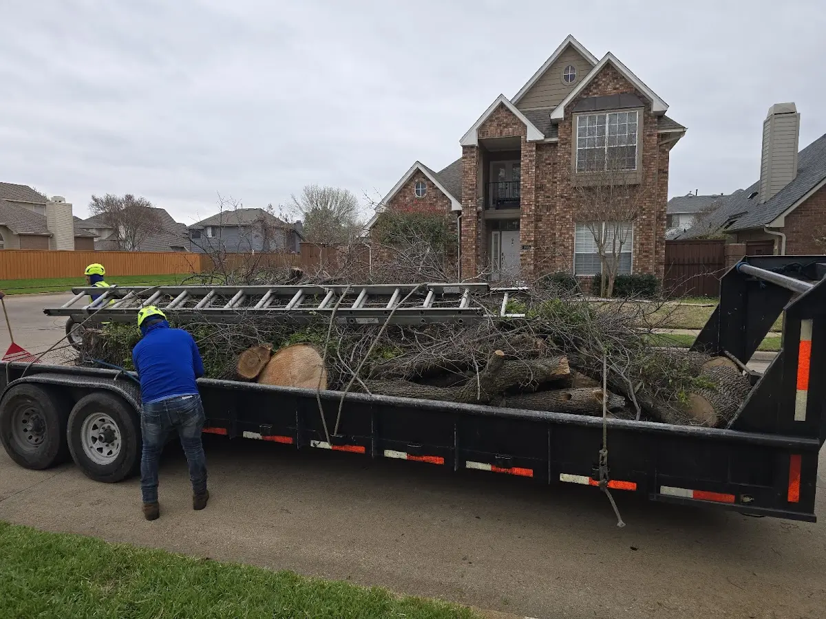 Expert Tree Fertilization with proper safety equipment in California